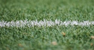 Three Reasons to Try Artificial Turf