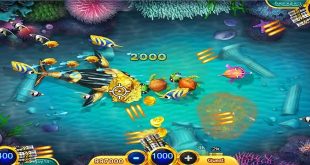 How to play fish game gambling and give real money