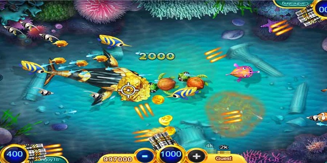 How to play fish game gambling and give real money