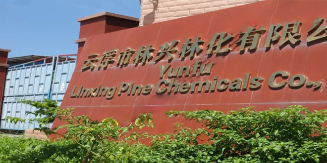 A Specialized Pine Chemicals Manufacturer: Lingxingchem