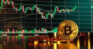 Can crypto trading be potentially lucrative?
