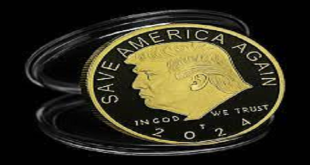 TRUMP2024 Coin vs. USD: Comparative Analysis and Performance 